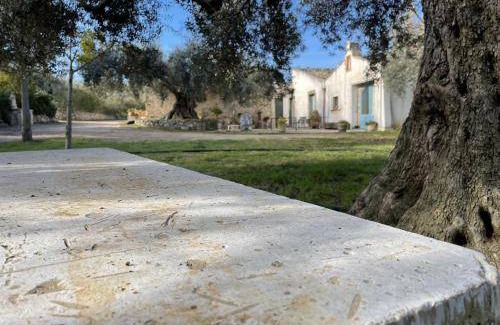 Chiaramonte Gulfi Bed & Breakfast | 25 m² Bed and breakfast ∙ 3 guests