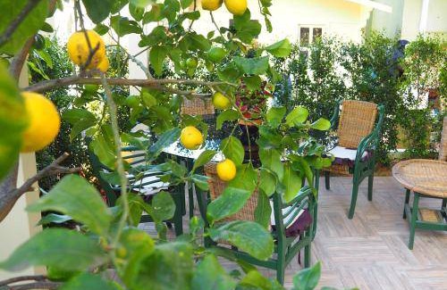 Villaggio Mose Bed & Breakfast | 27 m² Bed and breakfast ∙ 3 guests