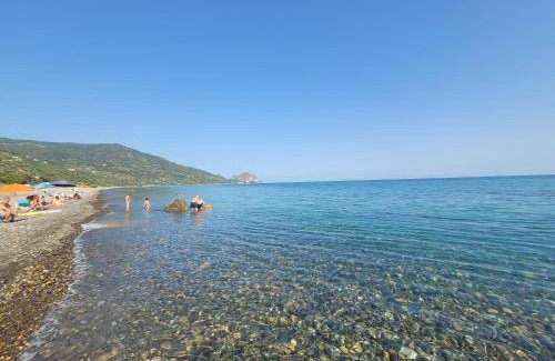 Sant'Ambrogio Apartment | 30 m² Apartment ∙ 1 bedroom ∙ 2 guests