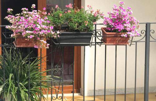 Castelbuono Apartment | 32 m² Apartment ∙ 1 bedroom ∙ 4 guests