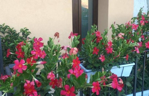 Monreale Bed & Breakfast | 50 m² Bed and breakfast ∙ 4 guests