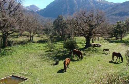 Madonie National Park House | 60 m² House ∙ 2 bedrooms ∙ 4 guests