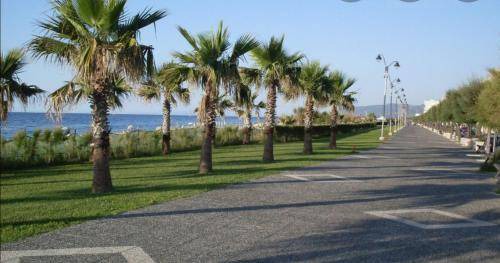 Venetico Marina Apartment | 65 m² Apartment ∙ 1 bedroom ∙ 4 guests