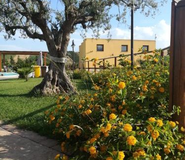 Calatafimi House | Agriturismo l'Olivo