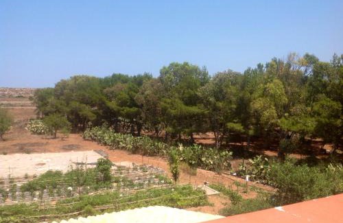 Favignana Apartment | Appartamenti Calarossa O' Cafe'