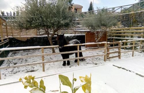 Zafferana Etnea Bed & Breakfast | Aurora dell'Etna