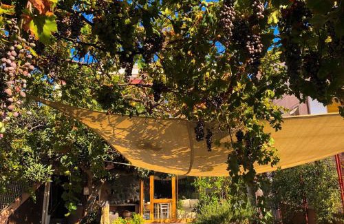 Nicolosi Bed & Breakfast | B&B Polifemo Etna