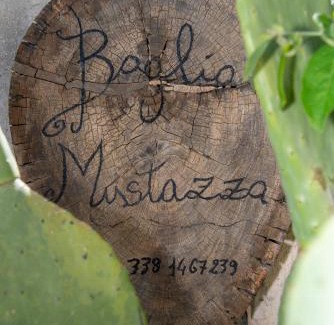 Buseto Palizzolo Apartment | Baglio Mustazza