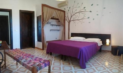 Lampedusa Bed & Breakfast | bolinajazz