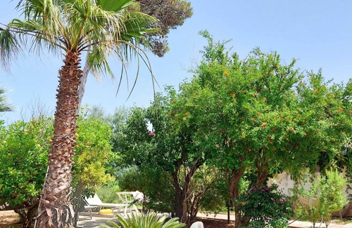 Valderice Villa | Buena Vista - Country Villa