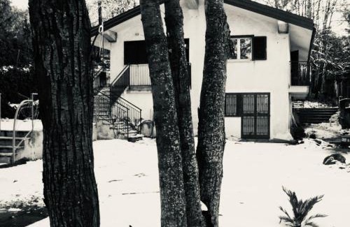 Trecastagni Bed & Breakfast | Castagneto dell ETNA