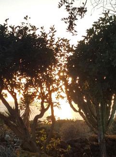 Pantelleria Villa | Dammusi di pietra SOLE