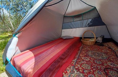Butera Hostel | Eco Hostel VELA VEGA