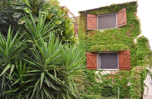Belvedere Hotel | Eurialo Green Suites