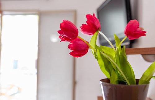 Marina di Ragusa House | Kaary Happiness