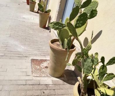 Ortigia House | La Casa del mare