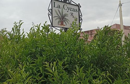 Trabia Bed & Breakfast | La Cycas