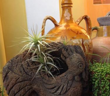 Stromboli Bed & Breakfast | La Lampara
