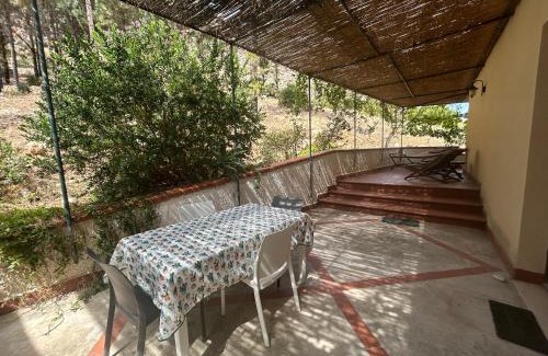 Tonnara di Bonagia Apartment | La Pineta al Mare