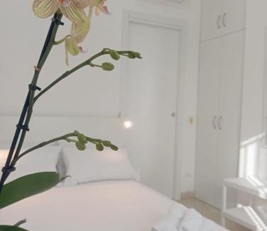 Vittoria House | Loredana Affittacamere