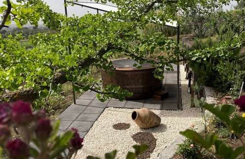Pedara Ski Chalet | Mondifeso Chalet (Etna+vineyard+jacuzzi)