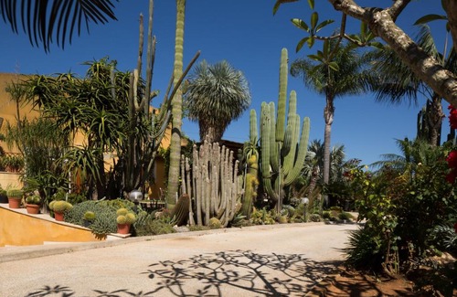 Marsala Apartment | Oasi delle Succulente