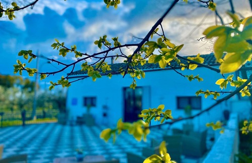 Castelvetrano Apartment | Room 'Ulivi' with shared garden, Wi-Fi and air conditioning