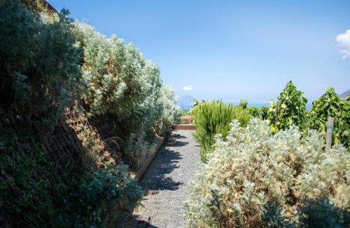 Quattropani Resort | Tenuta di Castellaro Winery & Resort