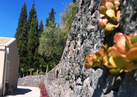 Santa Venerina Apartment | Tenuta Petronilla