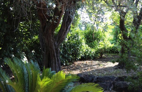 Aci Catena Cottage | The Garden of Lucchesi - Country Houses