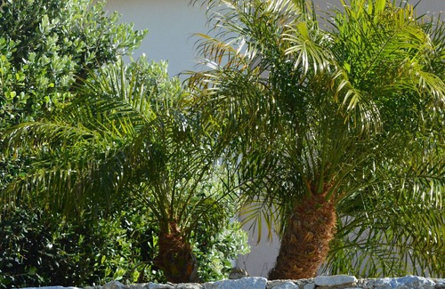 Province of Messina Apartment | Two-room apartment with panoramic terrace