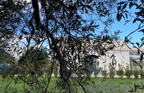 Gallina Villa | Villa Caponegro