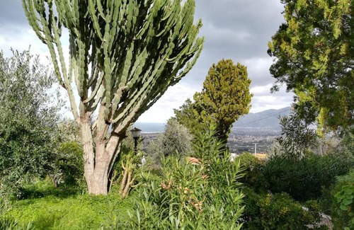 Carini House | Villa Grazia - Casa Romeo
