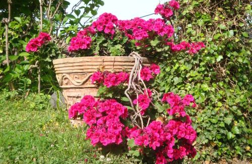 San Giovanni Montebello House | Villa Iolanda-Sive Natura Wine&House
