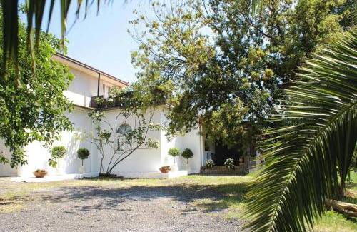 Rovittello House | Villa with Pool in Castiglione di Sicilia