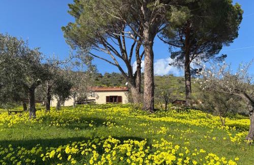 Castelbuono Apartment | Villa Zoe