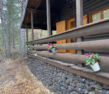 Ragalna Ski Chalet | Woods Etna Chalet
