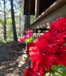 Ragalna Ski Chalet | Woods Etna Chalet