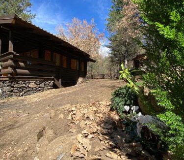 Ragalna Ski Chalet | Woods Etna Chalet