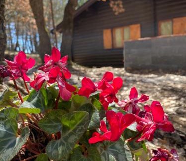 Ragalna Ski Chalet | Woods Etna Chalet