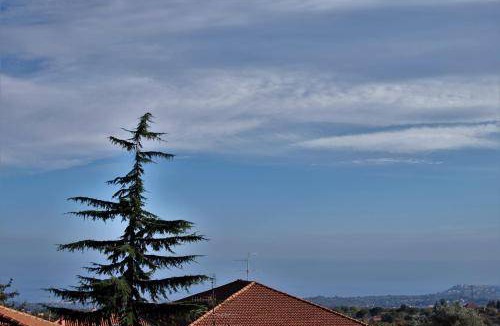Zafferana Etnea Bed & Breakfast | 19 m² Bed and breakfast ∙ 2 guests