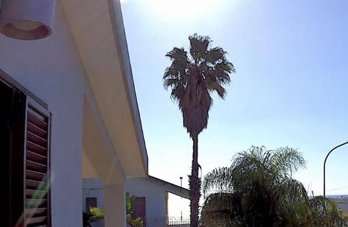 Arenella Bed & Breakfast | 21 m² Bed and breakfast ∙ 4 guests