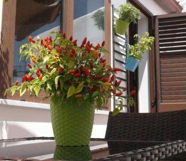 Termini Imerese Bed & Breakfast | 24 m² Bed and breakfast ∙ 3 guests