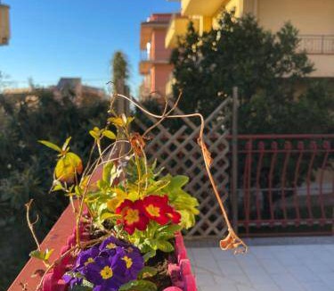 Furnari Bed & Breakfast | 25 m² Bed and breakfast ∙ 3 guests