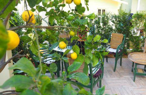 Villaggio Mose Bed & Breakfast | 27 m² Bed and breakfast ∙ 3 guests