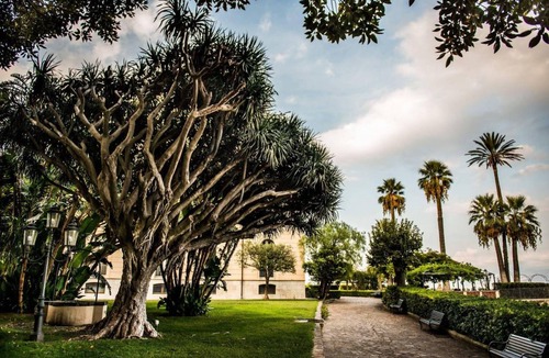 Mili San Pietro Hotel | 27 m² Hotel ∙ 127 guests