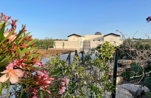 Noto Apartment | 35 m² Apartment ∙ 1 bedroom ∙ 4 guests