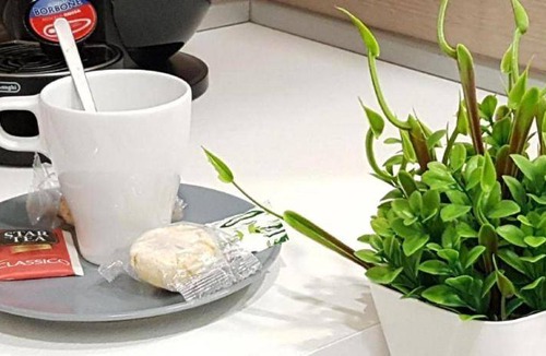 Ragusa Bed & Breakfast | 40 m² Bed and breakfast ∙ 3 guests