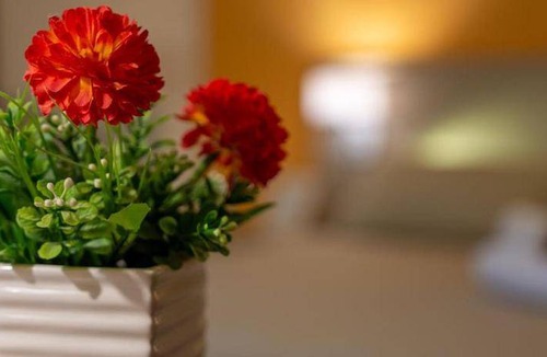Ragusa Bed & Breakfast | 40 m² Bed and breakfast ∙ 3 guests