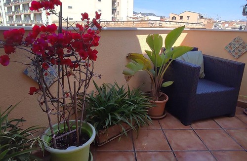 Palermo Apartment | 50 m² Apartment ∙ 1 bedroom ∙ 3 guests
